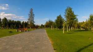 Летний вечер в парке Победы