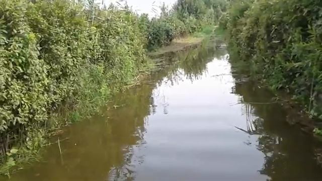 ЗАТОПИЛО ДАЧНЫЕ ОСТРОВА . Утонуло ВСЕ !