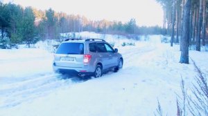 Subaru Forester 3. ЛЕСНИК В ЛЕСУ !