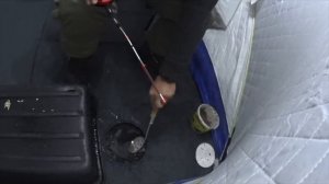 Увильды, Рипус, сумасшедший клев, поклёвка крупным планом, 21/12/19