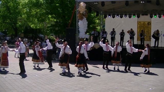 Сираков тв