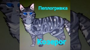 Кто ты по знаку зодиака из котов воителей (читаем описания)