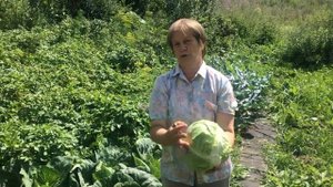 Капуста июньская самый раннеспелый сорт