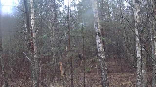 Работа по беляку.Звона и А-Гай смотреть онлайн