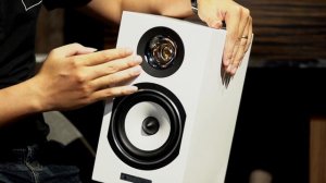 Triangle Esprit Titus EZ - Cặp loa bookshelf Hi-Fi ấn tượng đến từ nước Pháp