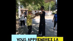 Tai Chi Qi Gong Gardien céleste