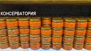 Склад с фермерской консервацией. Фермерское хозяйство Лукино