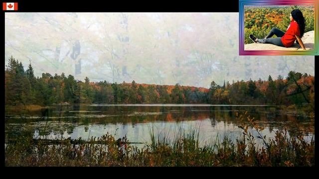 золотая осень Kанады--Алгонкин  провинциальный парк, -Algonquin Provincial Park -270 km from TORONR