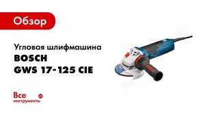 Обзор: Угловая шлифмашина Bosch GWS 17-125 CIE 0.601.796.0R2