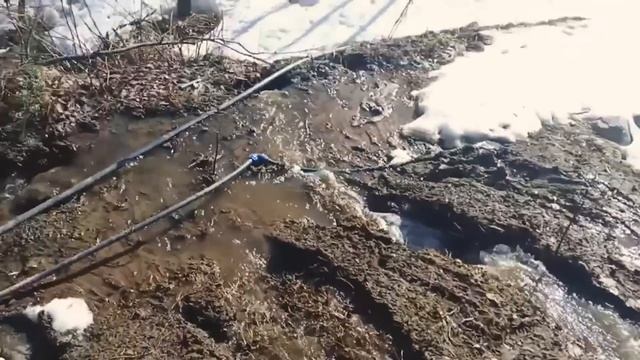 Весна в "Репейнике"!!!! 22 апреля день Х!!! смотреть онлайн