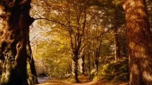 Стихи об осени