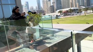 ДУБАЙ | Прыжок с парашютом за 750$ ? Стоит ли оно того?  Полный обзор и советы. Skydive Dubai