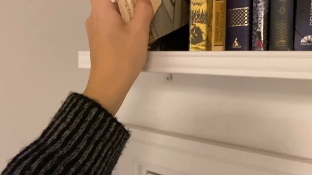 книжная полка, книга о бактериях I влогмас день 19 смотреть онлайн