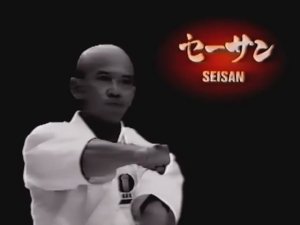 Рюэй рю каратэдо, разбор ката Сэйсан