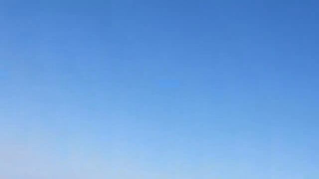 охота на волков.ВОЛКИ НАПАДАЮТ НА СКОТ!!!wolf hunting. смотреть онлайн