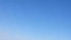 охота на волков.ВОЛКИ НАПАДАЮТ НА СКОТ!!!wolf hunting.