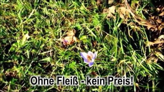 Тунеядец Учим разговорный немецкий без учебника с переводом Бесплатная онлайн программа по темам смотреть онлайн