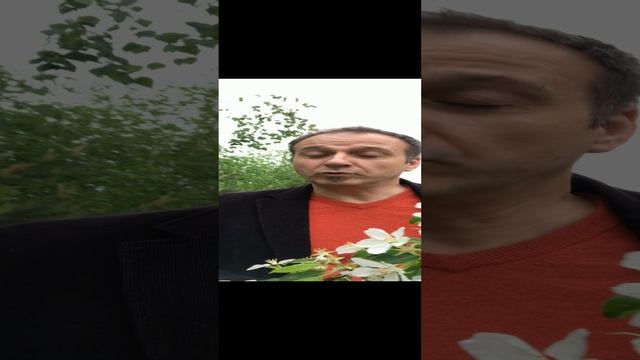 Размышлялки с Диксоном. Об искуствоведах без купюр.