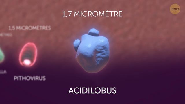 Microbes Du Plus Petit Au Plus Grand смотреть онлайн