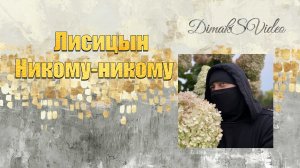 Лисицын - Никому-никому (DimakSVideo)