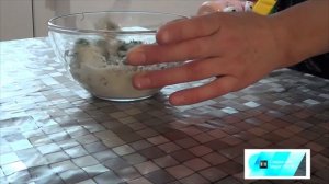 Орехово-чесночный соус со сметаной и зеленью подойдет к любому столу... советую посмотреть...