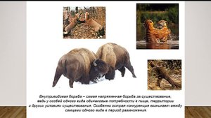 Биология 22.04.2020 Тема: Борьба за существование и естественный отбор.