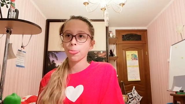 ЧЕМ МОЖНО ЗАНЯТЬСЯ ДОМА КОГДА СКУЧНО? Несколько идей...
