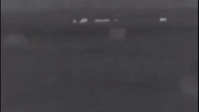 Кабаны на полях съёмка на Pulsar Helion XQ38F смотреть онлайн