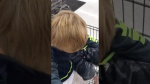 Дети любят маму