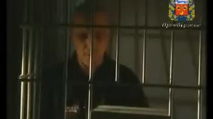 Чёрный дельфин