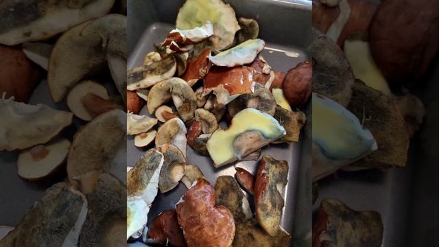 9. Oktober 2022 смотреть онлайн