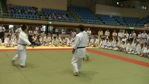 Aikido - Fight - Toshu Randori - Tomiki style