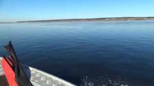 Wellboat 37 & Yamaha 15 обкатка