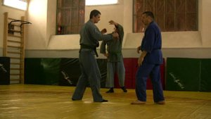 Половинка Тен-Чи Нагэ  (упражнение)