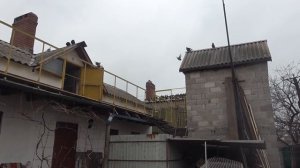 Голуби г.Мариуполь. Хорин Славик