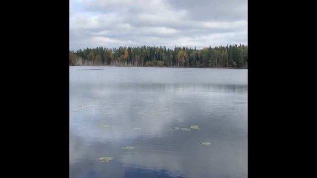 На каяках по диким озёрам Карелии смотреть онлайн