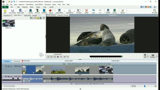 Editing Video Clips and Movie Sequences | VideoPad Video Editor Tutorial