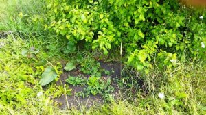 Велотуризм. В Никольскую Пестровку 88 км!