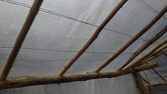 Теплица из говна и палок смотреть онлайн