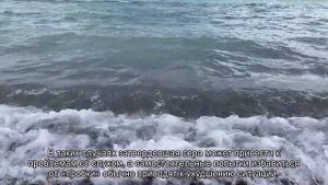 Что такое ушная сера и откуда она берется