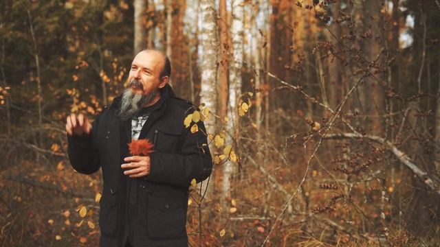 К древу (ч.2) смотреть онлайн