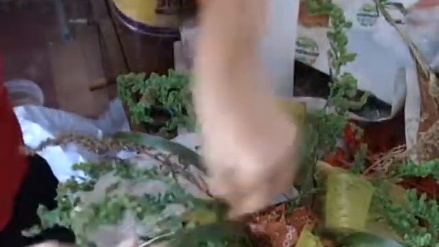 Декор из сухоцветов в интерьере3