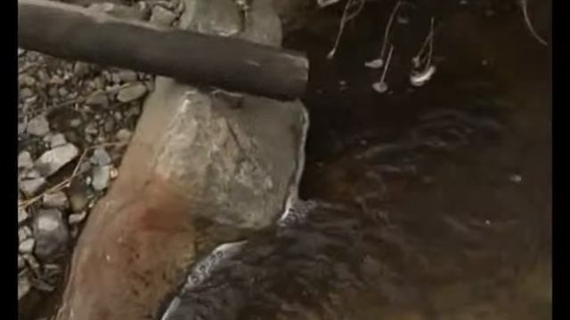 сюжет 'Эколайф' (2008-04) ч2 смотреть онлайн