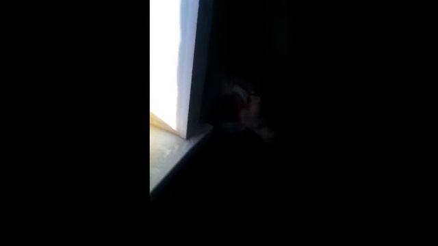 Нанесение жидких обоев.