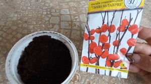 Паслён темноплодный "Тыква на палочке", посев.