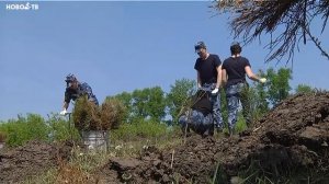 Массовая посадка деревьев в Куйбышевском районе