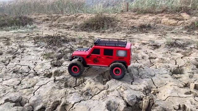 Wltoys 12427 vs Wltoys 104311 | Wltoys RC Cars | High Speed RC Cars