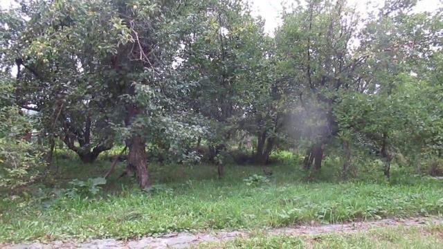 Листопад уж! смотреть онлайн