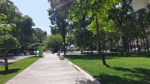 "Голубые купола" в Ташкенте