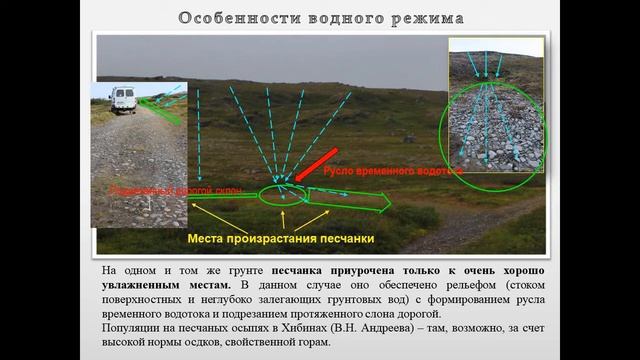 Характеристика почвы на месте произрастания песчанки (Arenaria sp.) в районе мыса Скорбеевский на.. смотреть онлайн